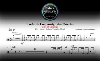 Irmão da Lua, Amigo das Estrelas - Zezé Di Camargo
